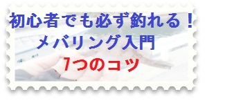 初心者でも必ず釣れる！メバリング入門7つのコツ